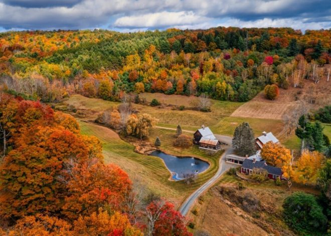 Three Cities in Vermont Offering Free Land to People